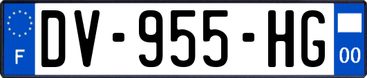 DV-955-HG