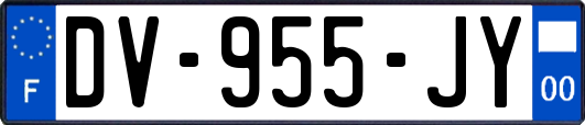 DV-955-JY