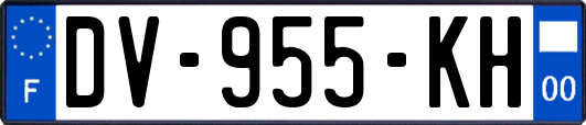 DV-955-KH