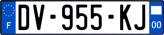 DV-955-KJ