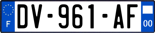 DV-961-AF