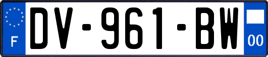 DV-961-BW