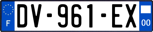 DV-961-EX