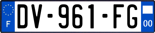 DV-961-FG