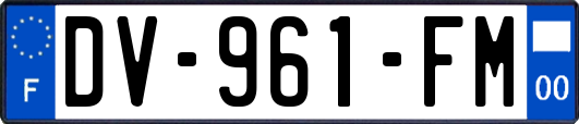 DV-961-FM