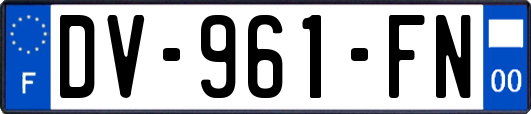 DV-961-FN