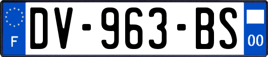 DV-963-BS