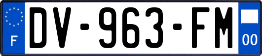 DV-963-FM