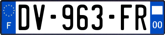 DV-963-FR