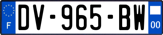 DV-965-BW