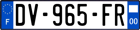 DV-965-FR