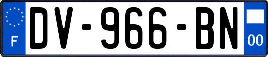 DV-966-BN