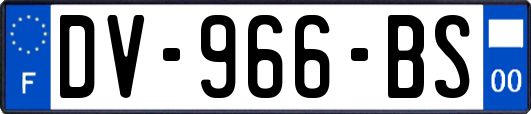 DV-966-BS