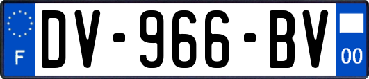 DV-966-BV