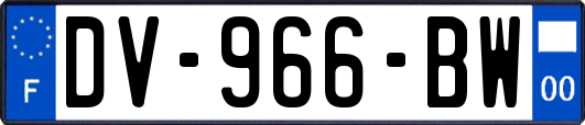 DV-966-BW