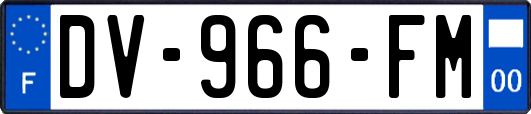 DV-966-FM