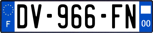 DV-966-FN