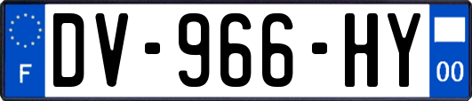 DV-966-HY