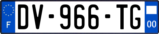 DV-966-TG