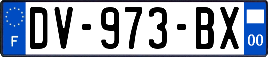 DV-973-BX