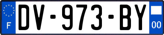 DV-973-BY