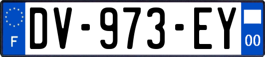 DV-973-EY