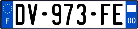 DV-973-FE