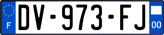 DV-973-FJ