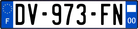 DV-973-FN