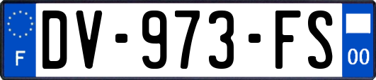 DV-973-FS