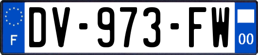 DV-973-FW