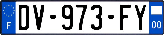 DV-973-FY