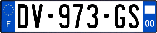 DV-973-GS