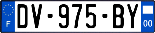 DV-975-BY