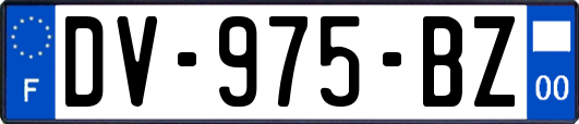 DV-975-BZ