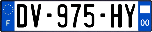 DV-975-HY