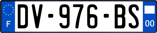 DV-976-BS