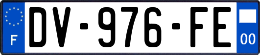 DV-976-FE