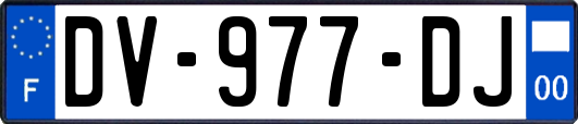 DV-977-DJ