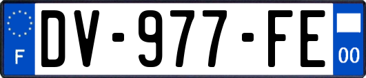 DV-977-FE