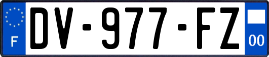 DV-977-FZ