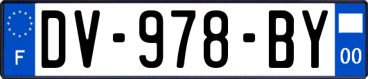 DV-978-BY