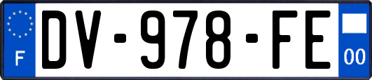 DV-978-FE