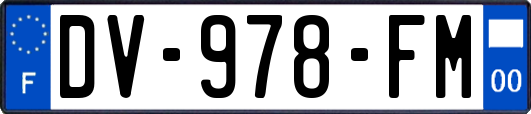 DV-978-FM