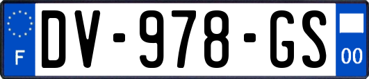 DV-978-GS