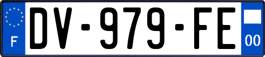 DV-979-FE