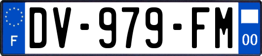 DV-979-FM