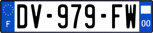 DV-979-FW