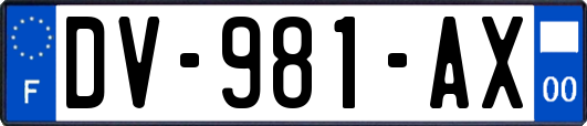 DV-981-AX