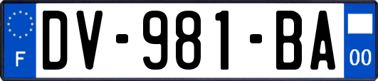 DV-981-BA